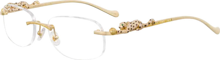 Difference in Lifespan Between Expensive and Cheap Glasses
