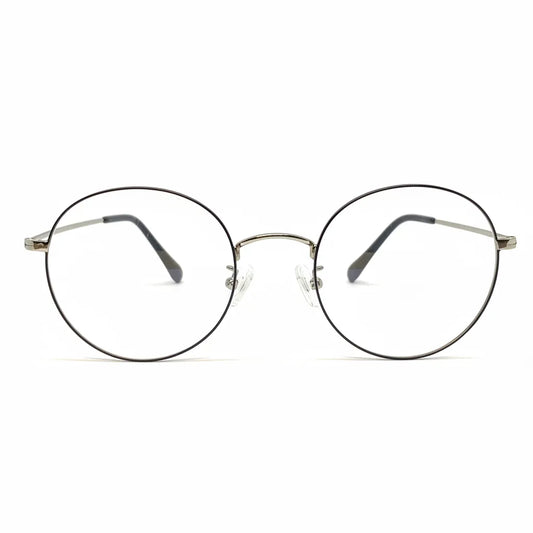 Silver titanium glasses with beta titanium frame, front view