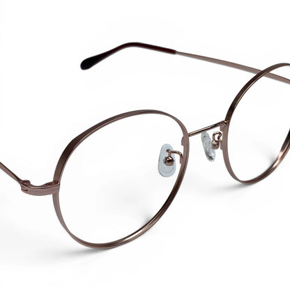 Teyang 8755 round titanium prescription eyeglasses, close-up of hinge detail